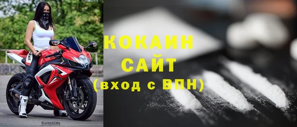 бошки Белокуриха