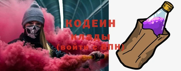 сатива Сатка