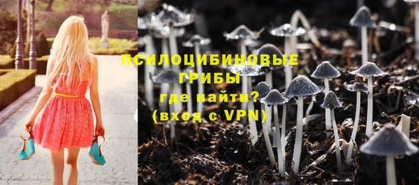 бошки Белокуриха
