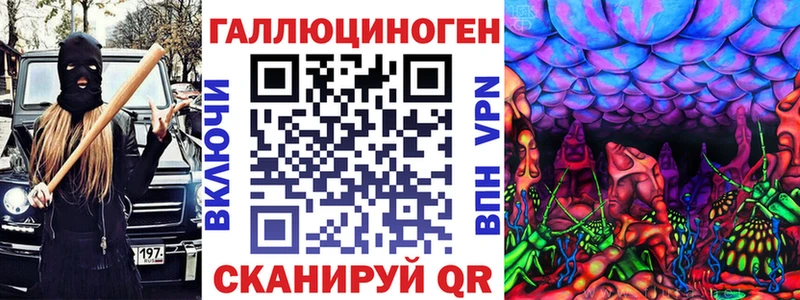 сколько стоит  Завитинск  Псилоцибиновые грибы Cubensis 